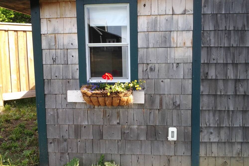 Photo of Others in Cressy