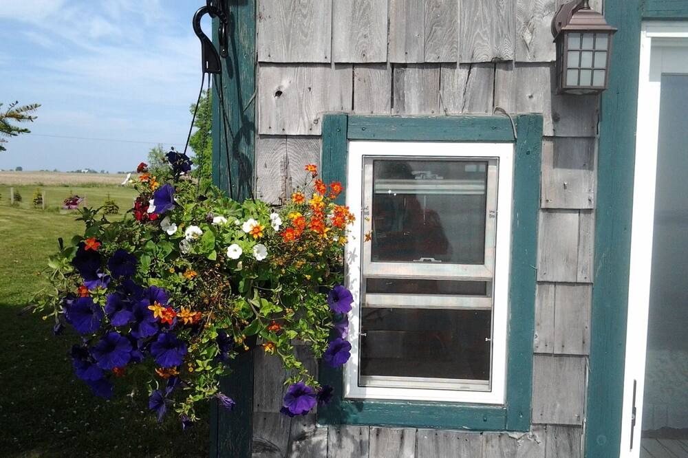 Photo of Others in Cressy