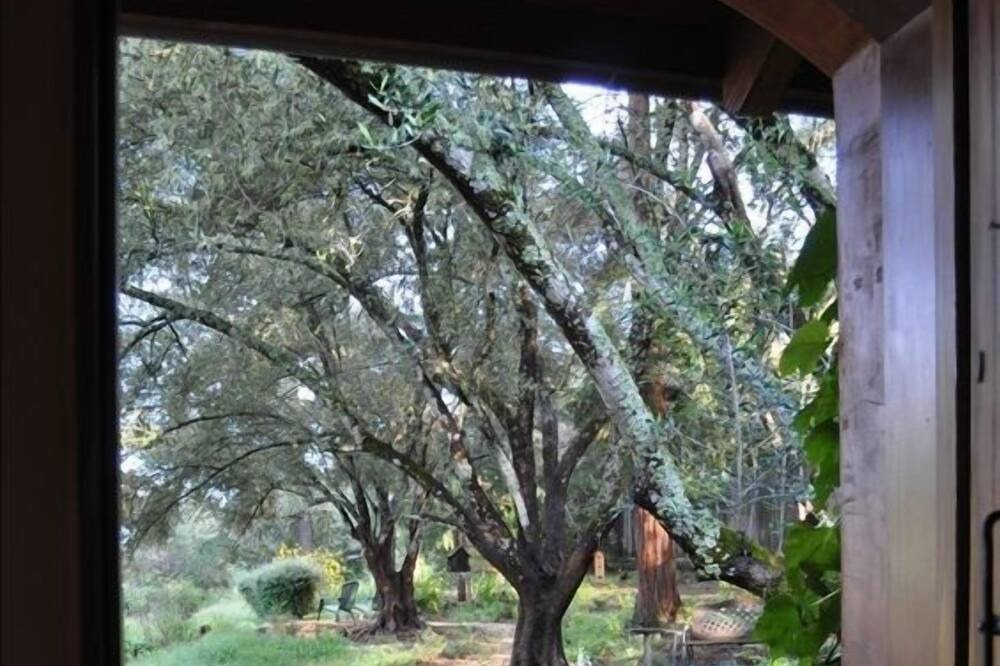 Photo of Outdoor in St. Helena