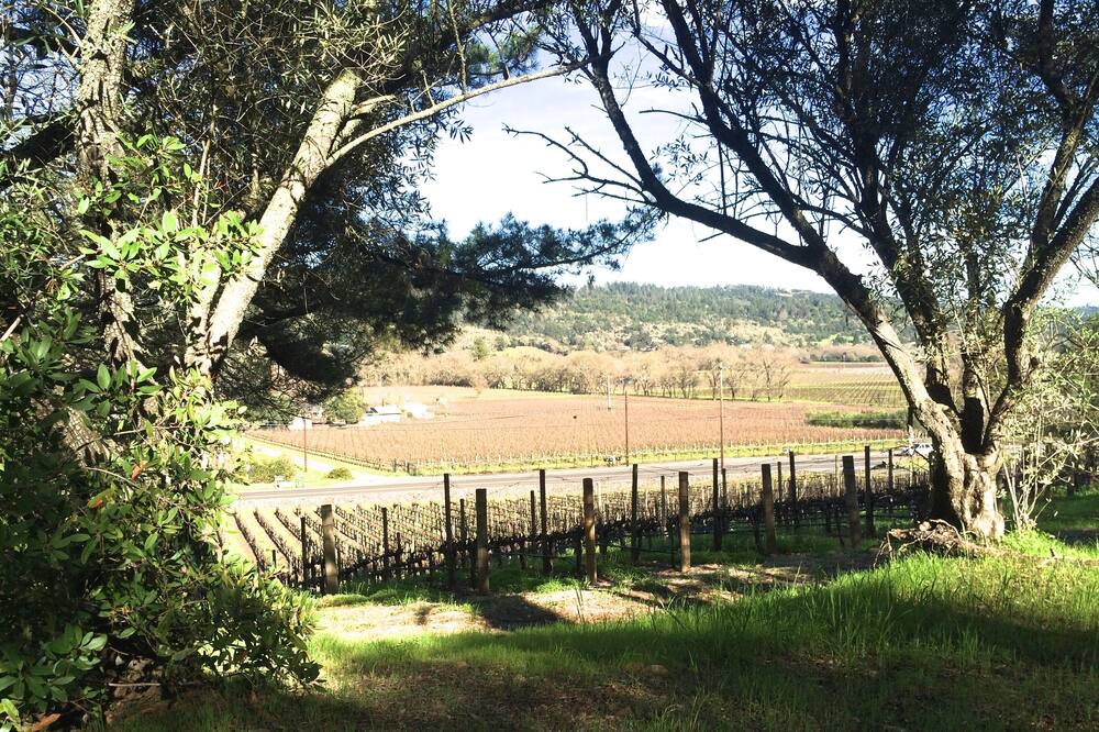 Photo of Others in St. Helena