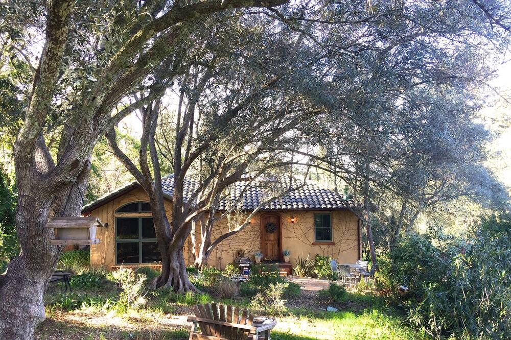 Photo of Others in St. Helena