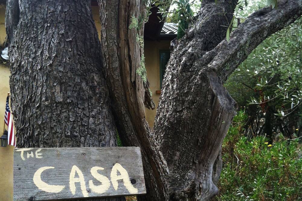 Photo of Others in St. Helena