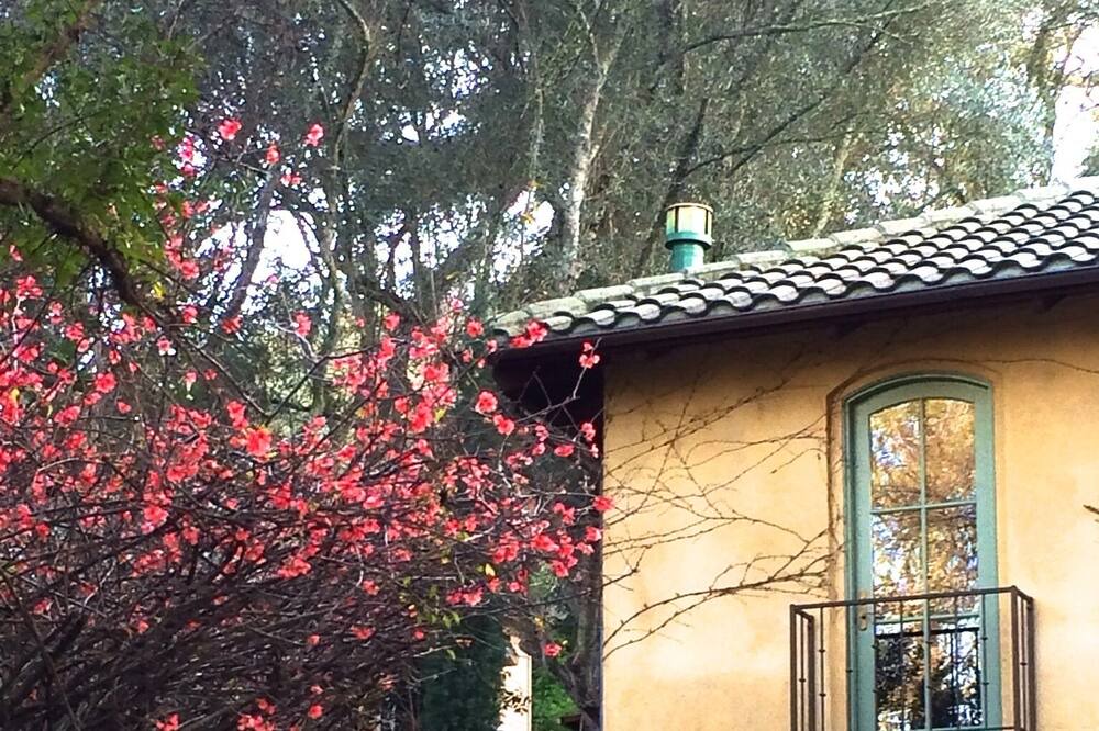 Photo of Others in St. Helena