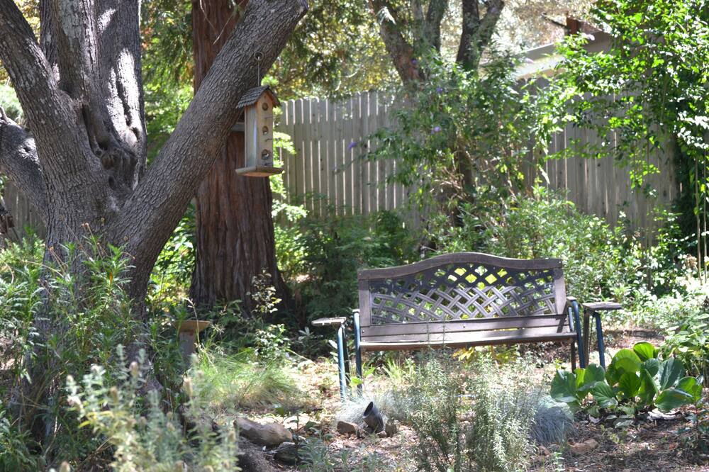 Photo of Outdoor in St. Helena