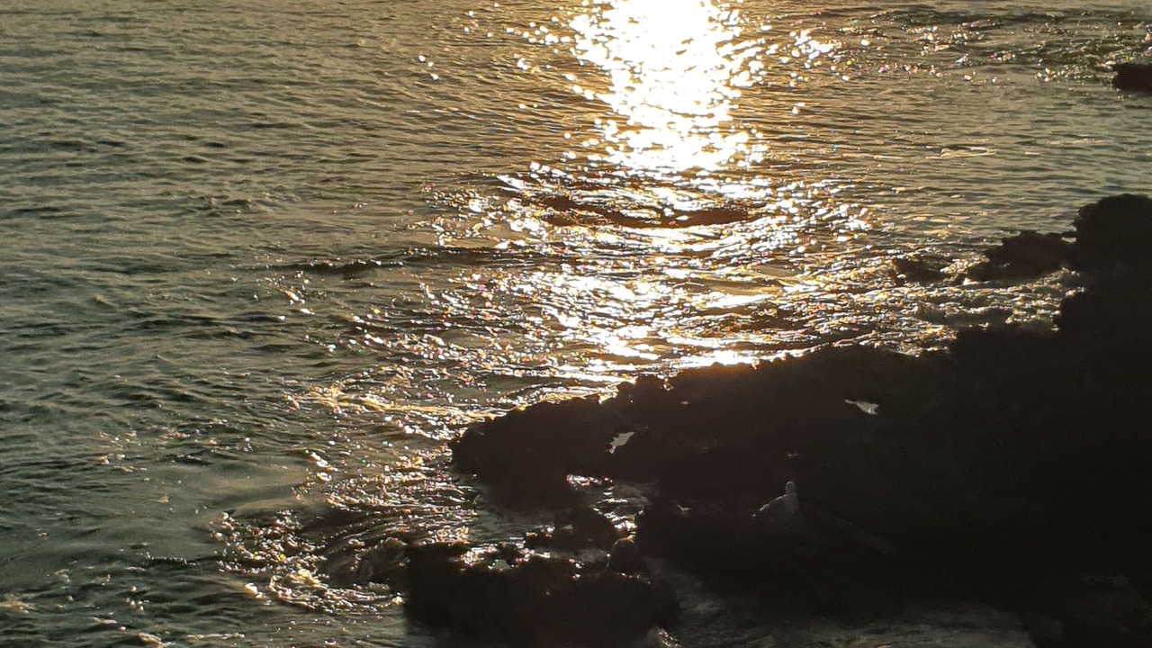 Photo of Others in Pornic