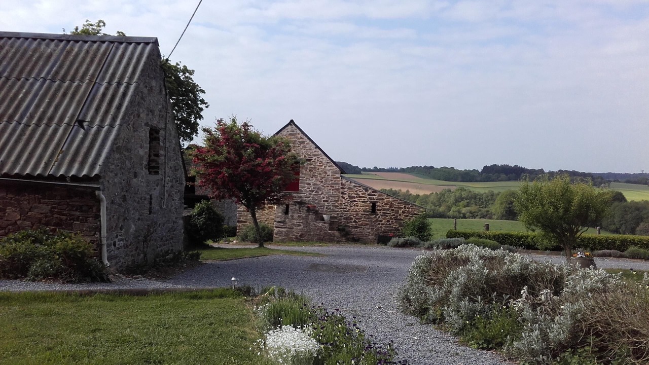 Photo of Outdoor in Saint-Dolay