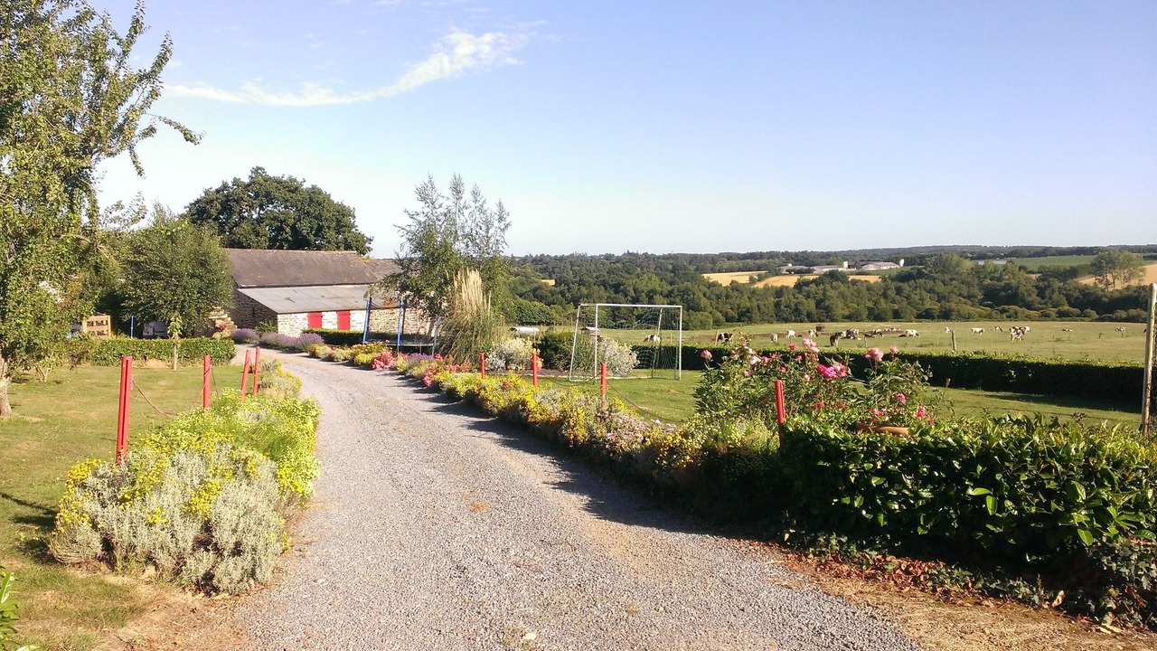 Photo of Outdoor in Saint-Dolay