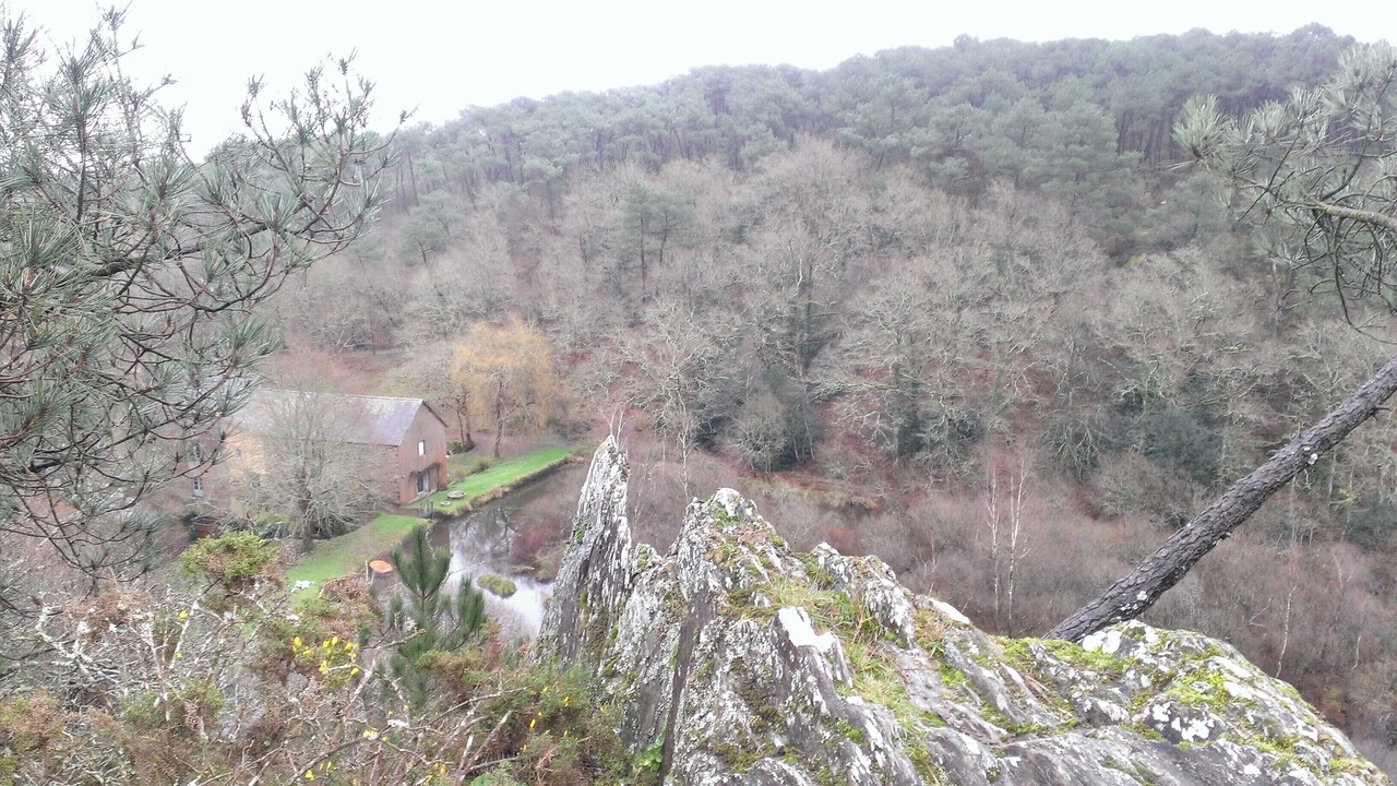 Photo of Outdoor in Saint-Dolay