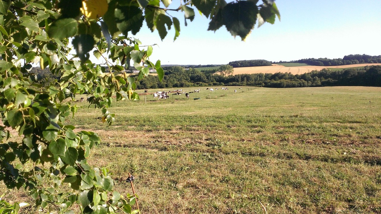 Photo of Outdoor in Saint-Dolay