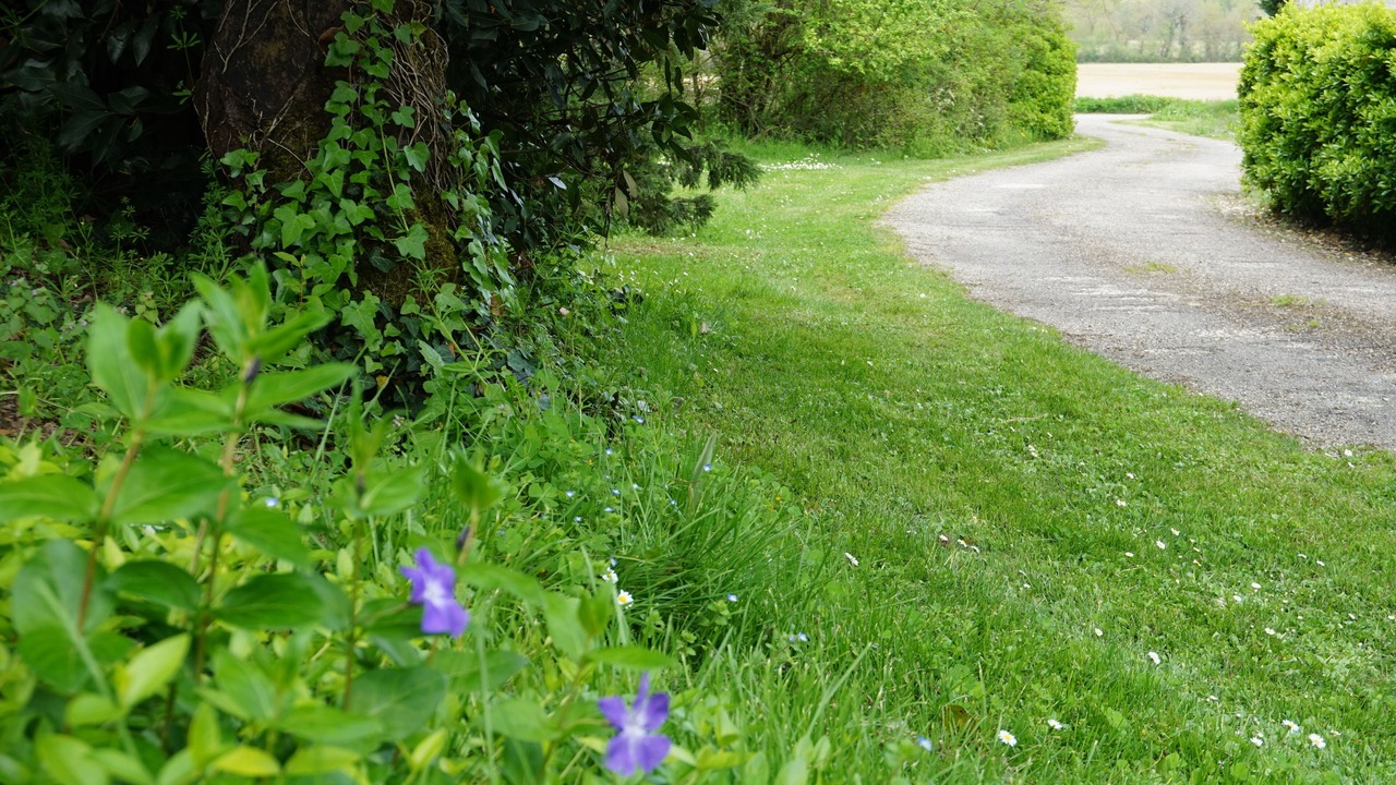 Photo of Outdoor in Montestruc-sur-Gers