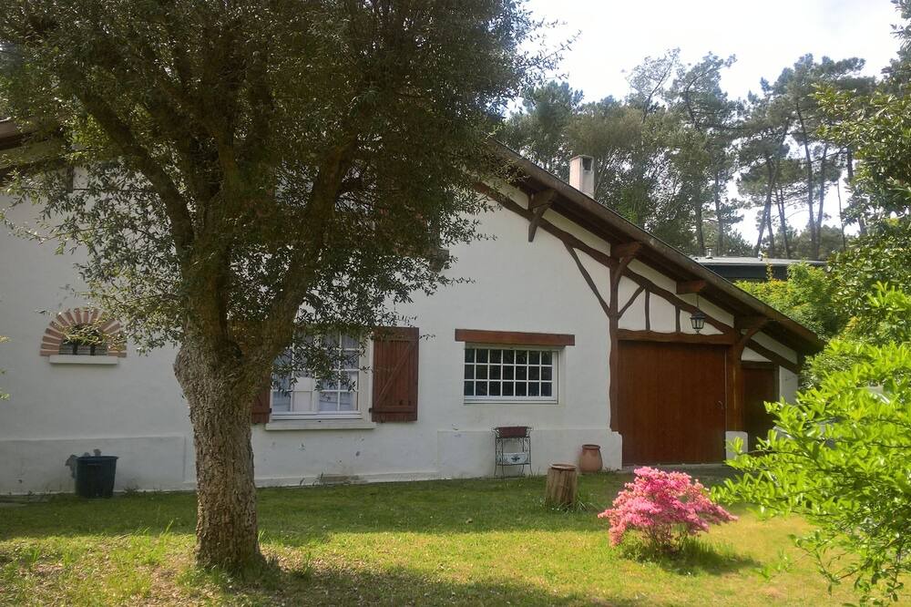 Photo of Outdoor in Soorts-Hossegor