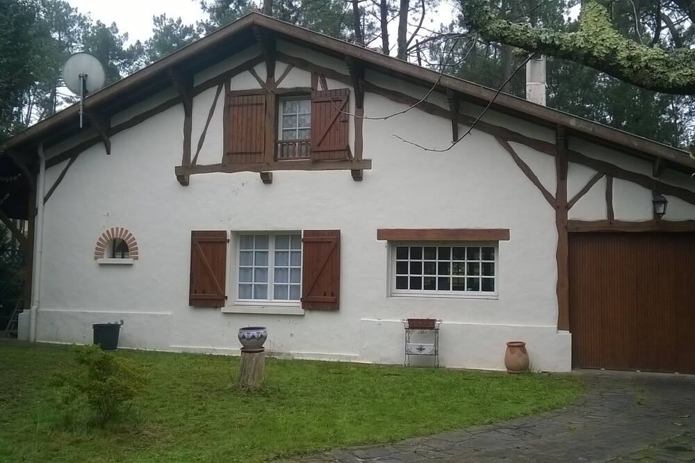 Photo of Outdoor in Soorts-Hossegor