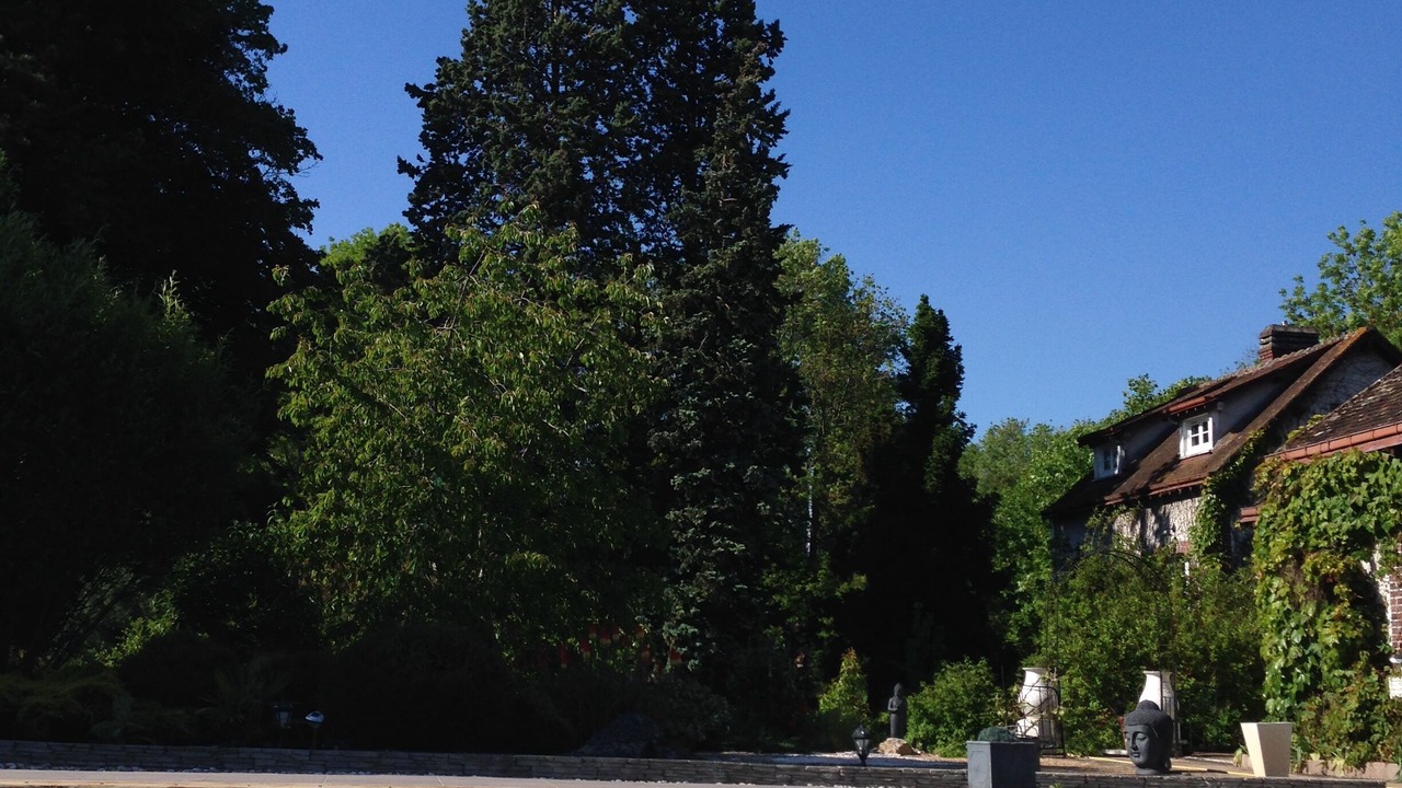 Photo of Outdoor in Sainte-Gemme-Moronval