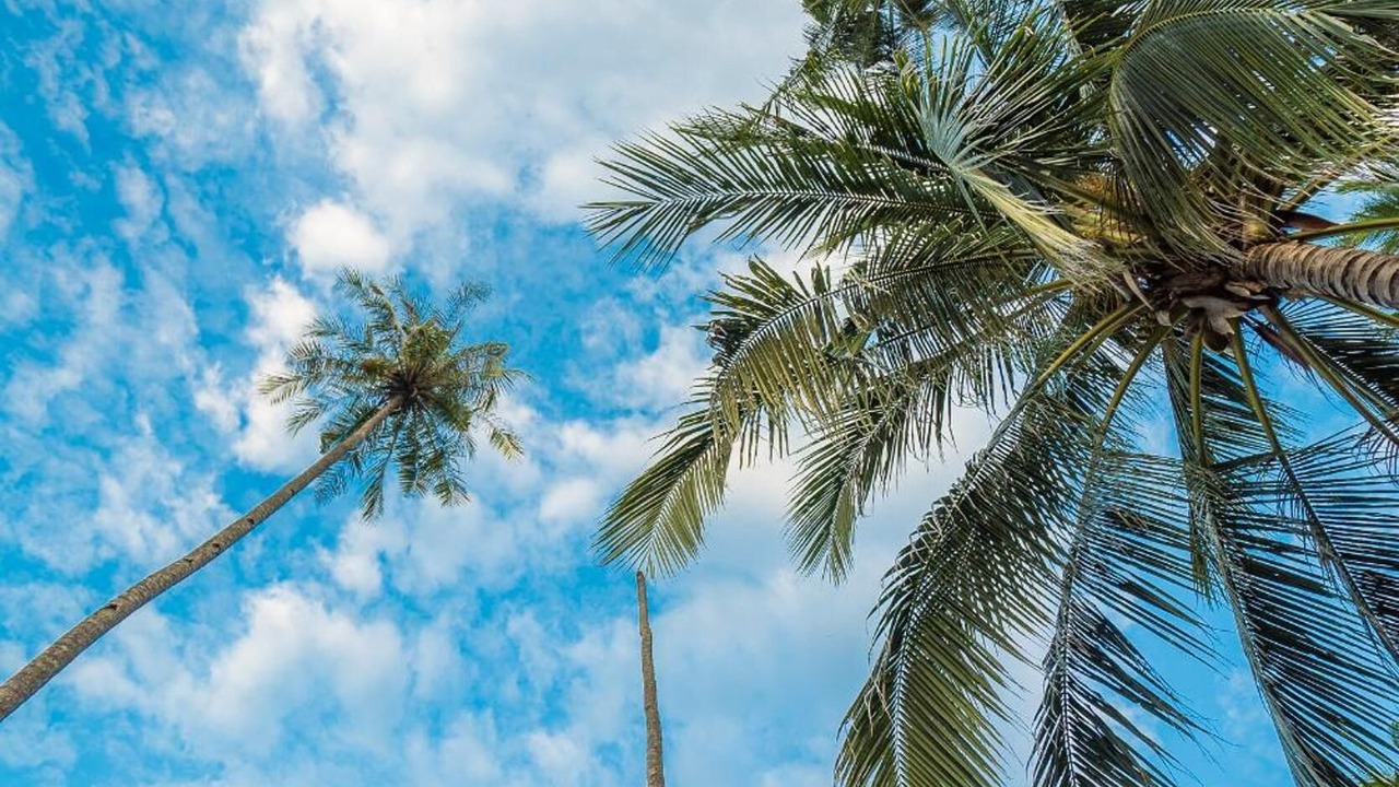 Photo of Outdoor in Tioman Island
