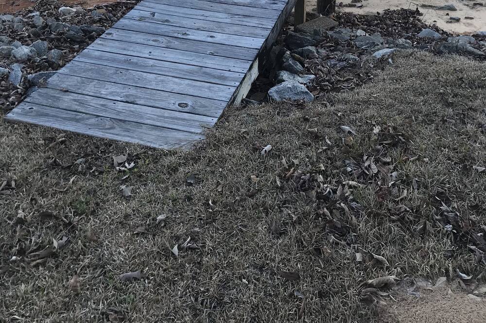 Photo of Others in Jacksons' Gap