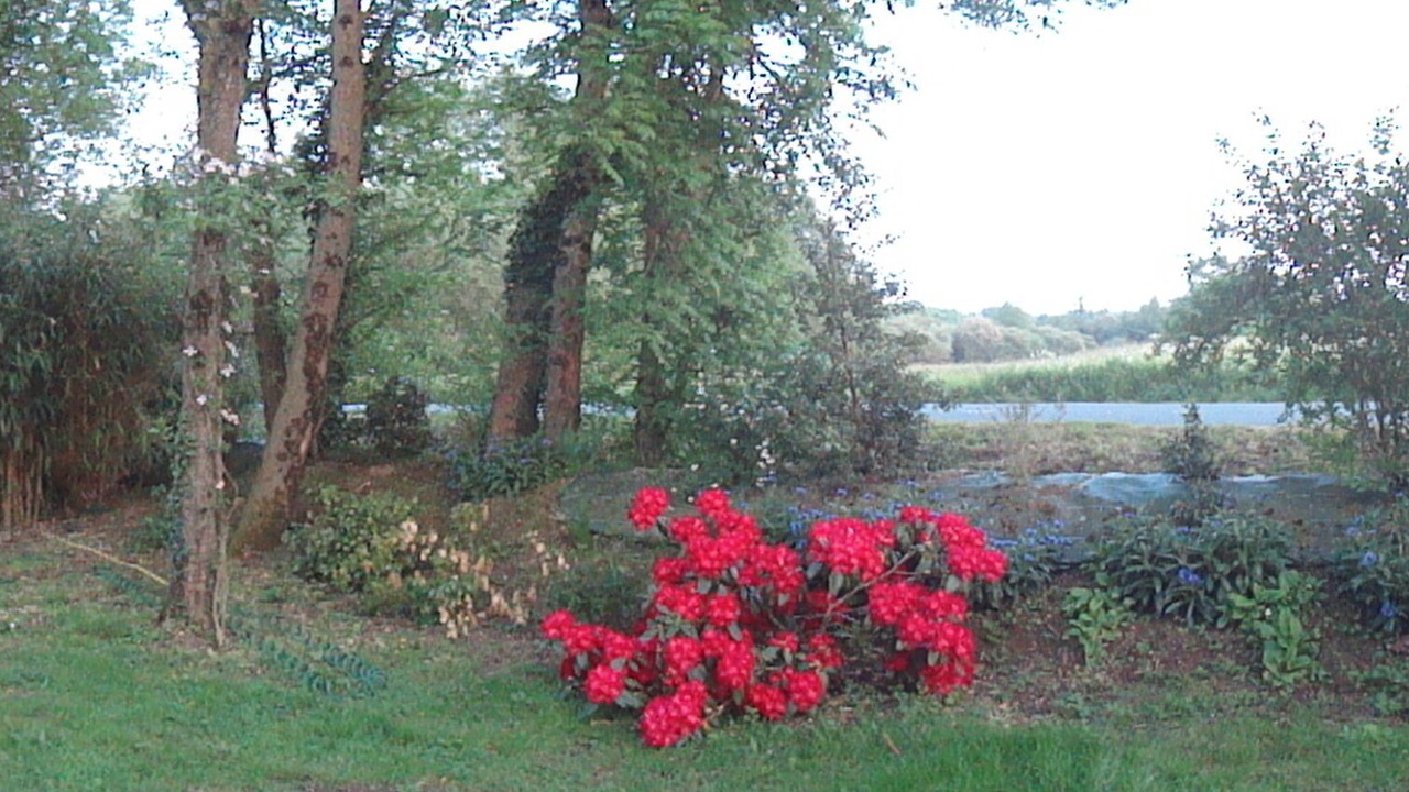 Photo of Outdoor in Mauleon