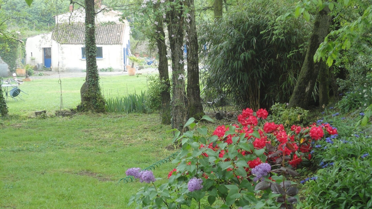 Photo of Outdoor in Mauleon