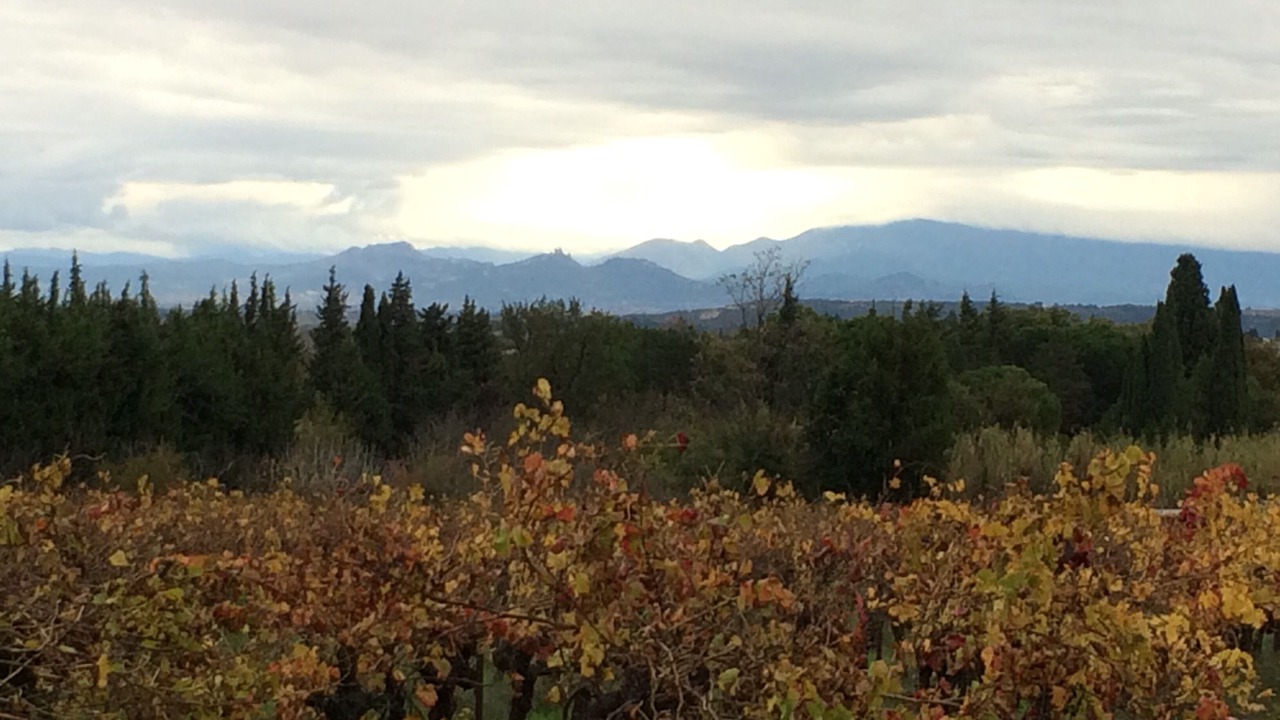 Photo of Outdoor in Saint-Laurent-des-Arbres