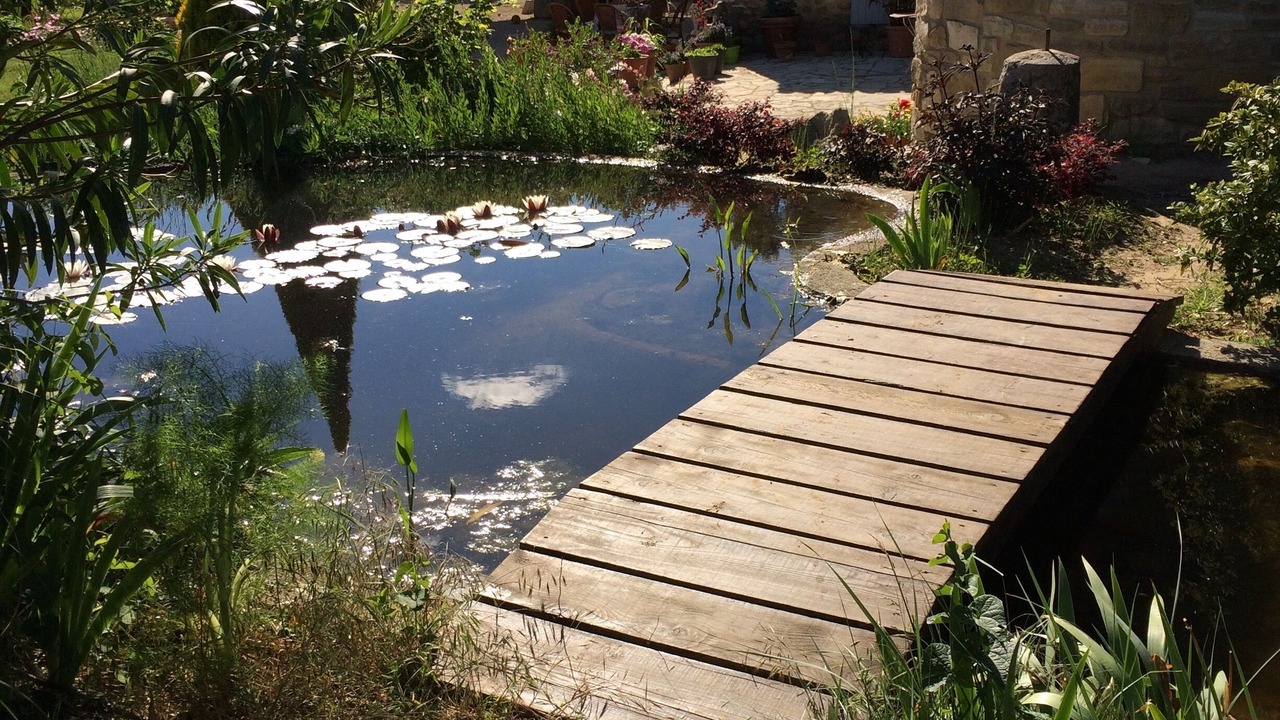 Photo of Outdoor in Saint-Laurent-des-Arbres