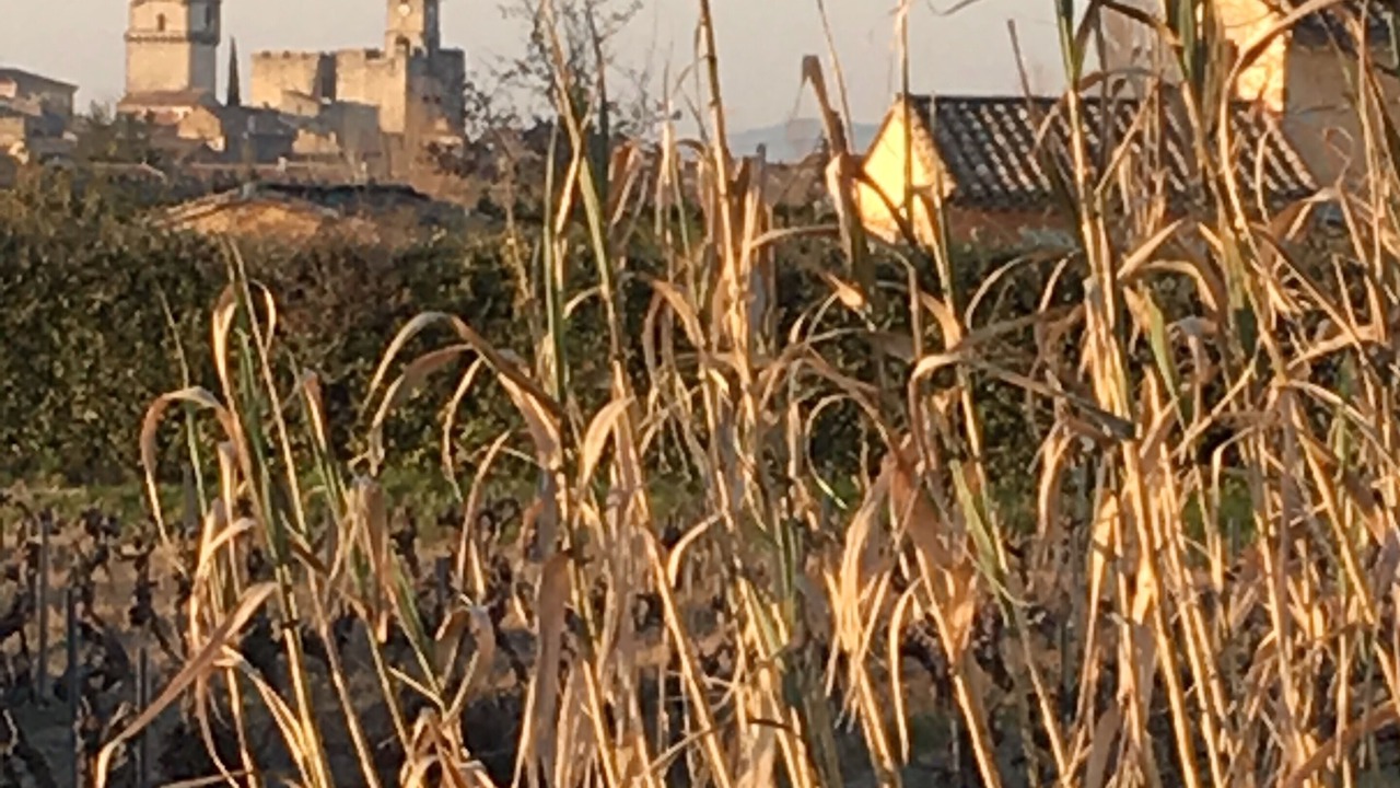 Photo of Outdoor in Saint-Laurent-des-Arbres