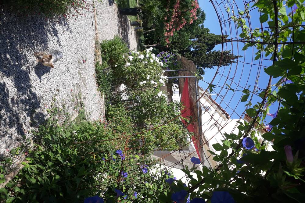 Photo of Outdoor in Capestang