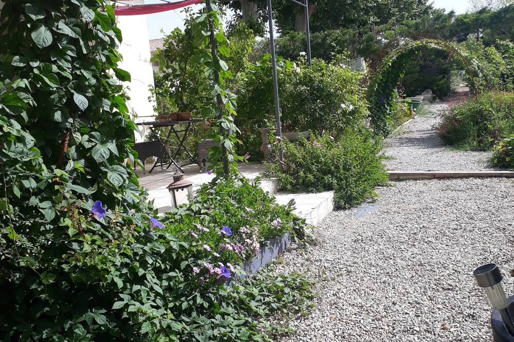 Photo of Outdoor in Capestang