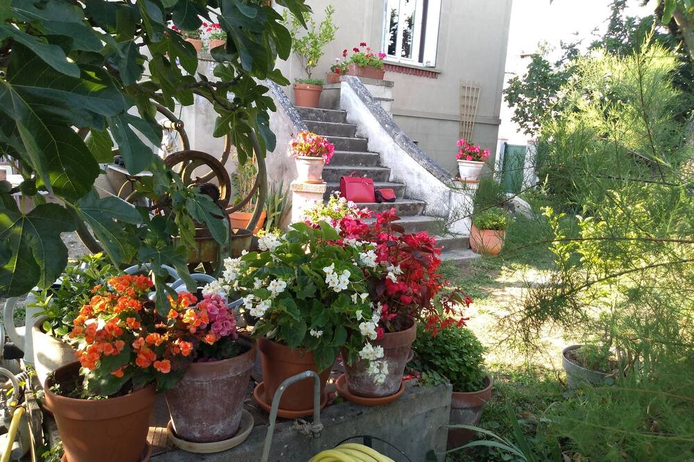 Photo of Outdoor in Lavaur