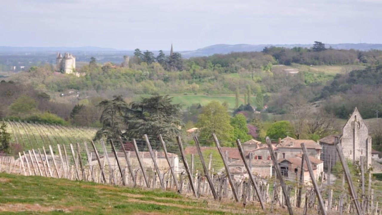 Photo of Outdoor in Saint-Pierre-de-Buzet