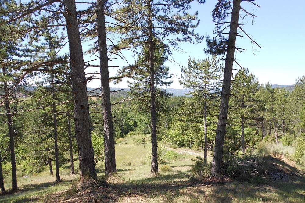 Photo of Outdoor in Digne-les-Bains