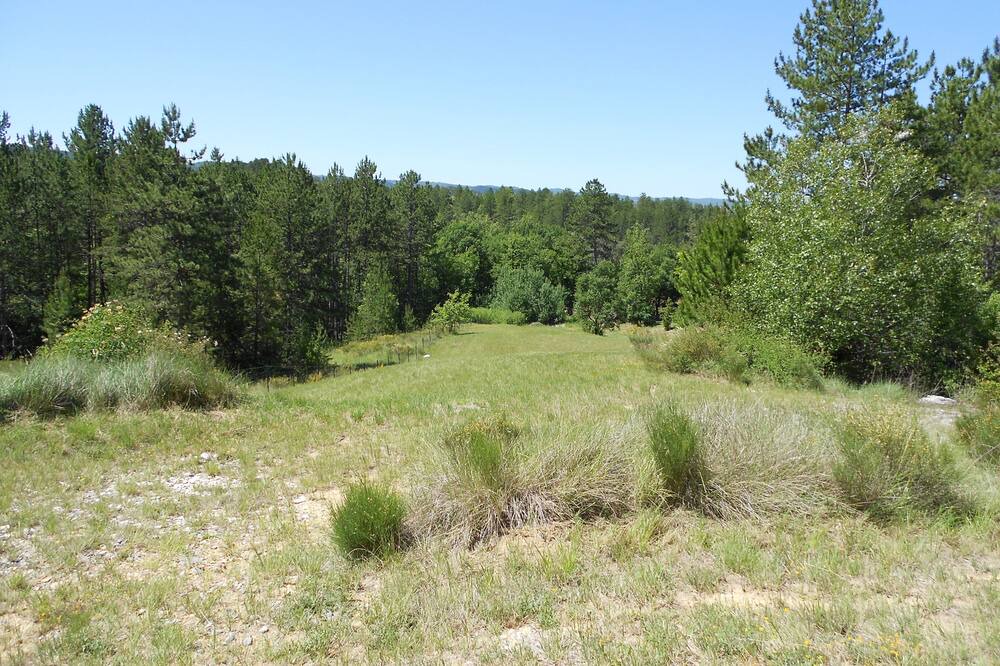 Photo of Outdoor in Digne-les-Bains