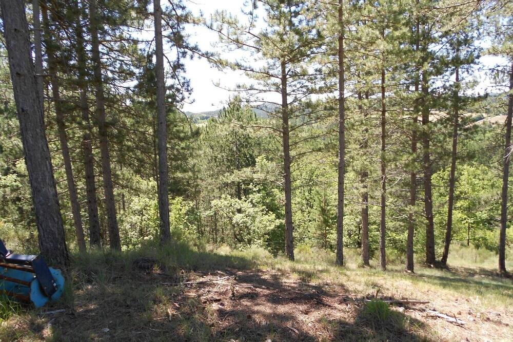 Photo of Outdoor in Digne-les-Bains