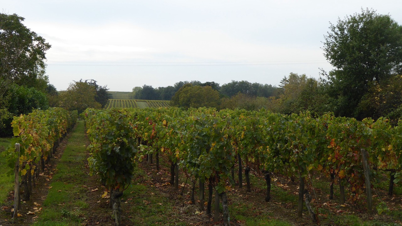 Photo of Others in Sainte-Colombe