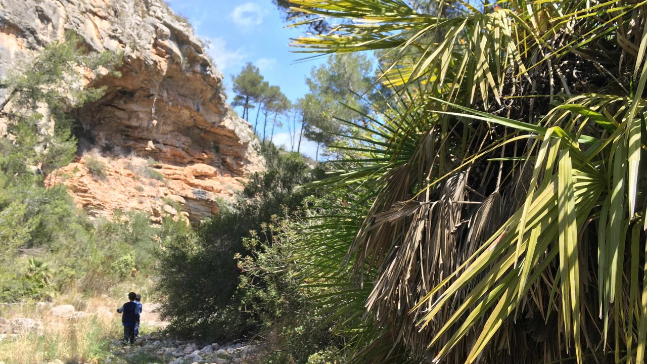 Photo of Outdoor in L'Hospitalet de l'Infant