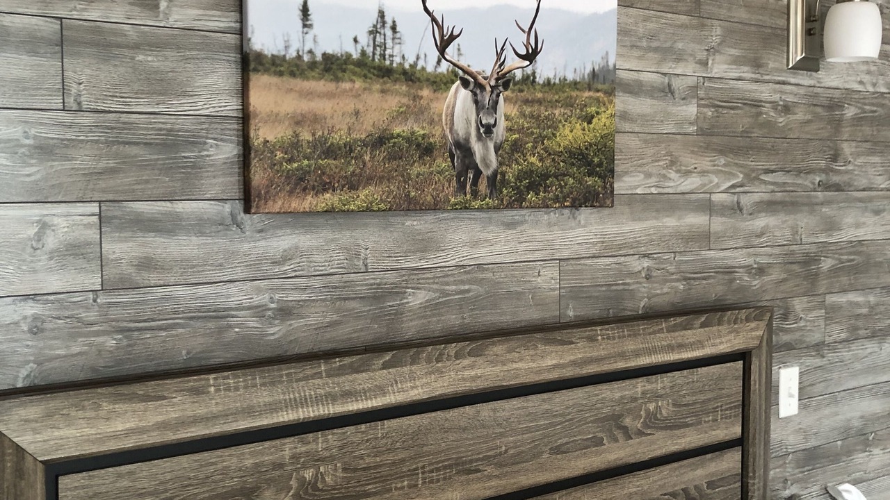Photo of Bedroom in Raleigh