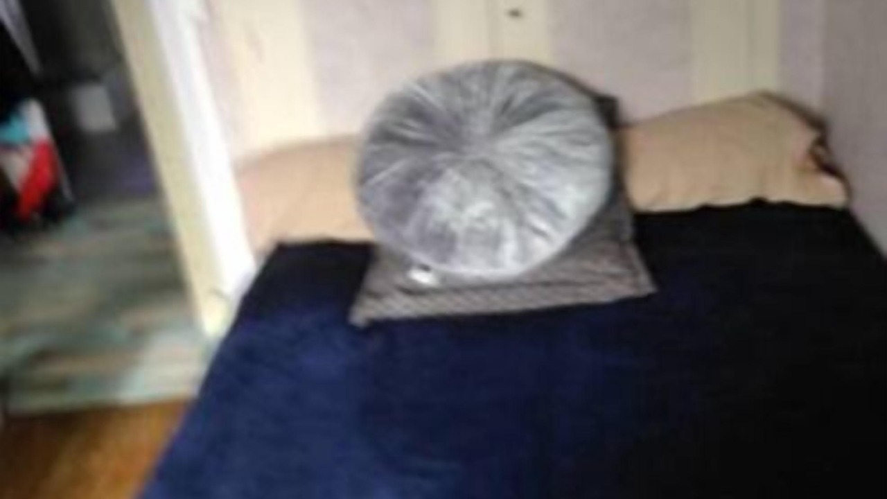 Photo of Outdoor in Sainte-Therese - Quineleu