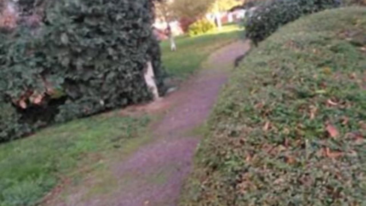 Photo of Outdoor in Sainte-Therese - Quineleu