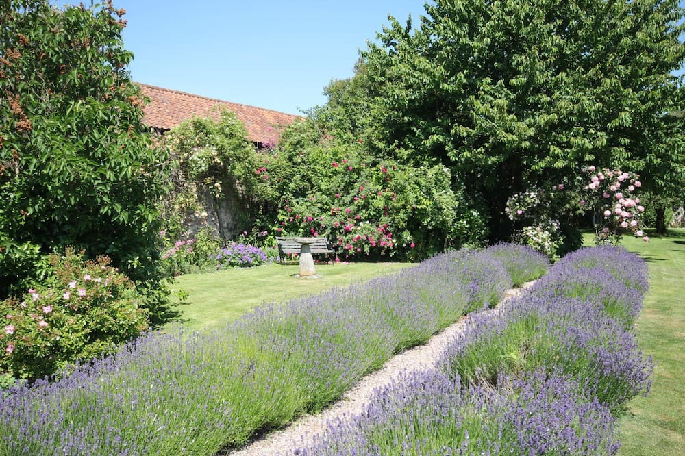 Photo of Outdoor in Nether Stowey