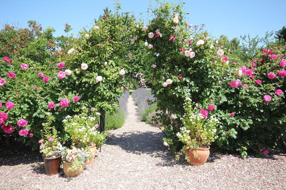 Photo of Outdoor in Nether Stowey