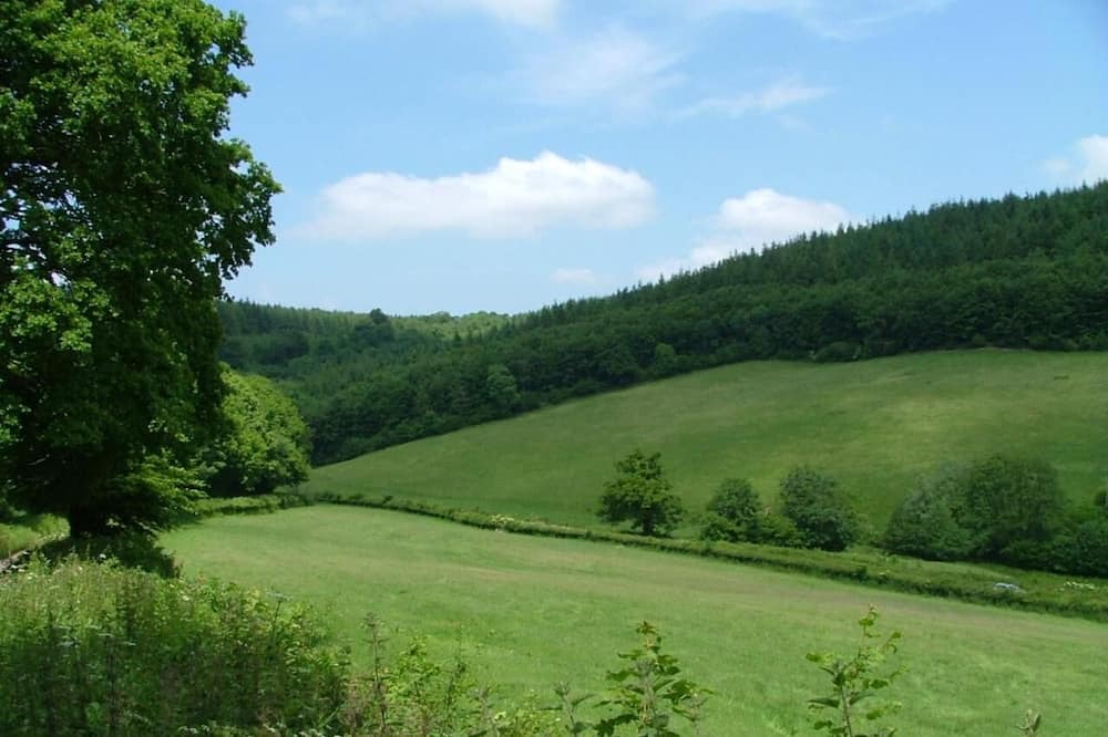 Photo of Outdoor in Nether Stowey