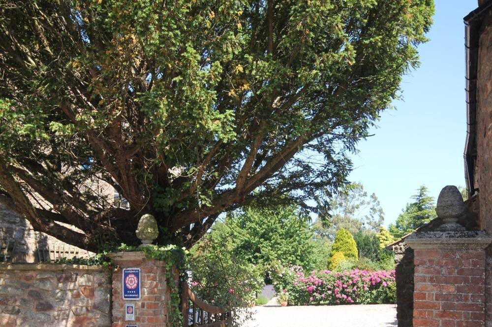 Photo of Outdoor in Nether Stowey