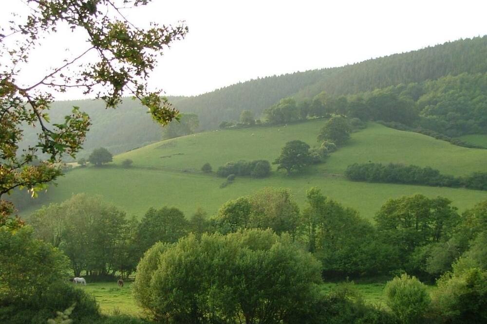 Photo of Outdoor in Nether Stowey