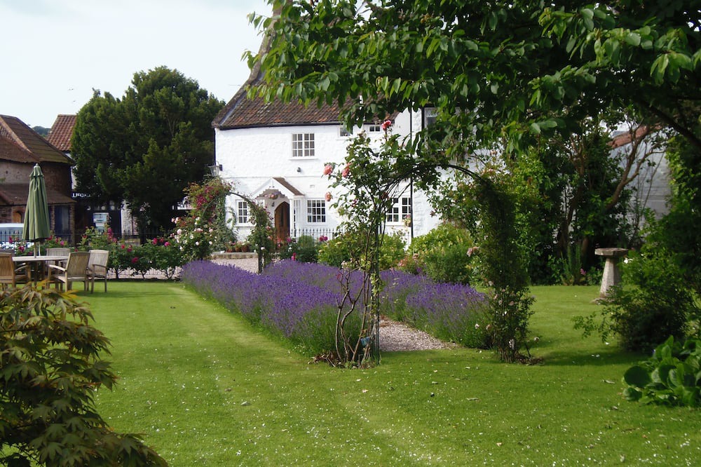 Photo of Outdoor in Nether Stowey