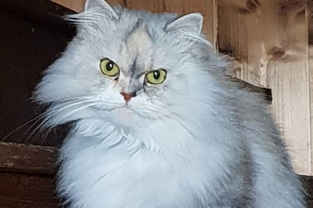 Photo of Others in La Coudre