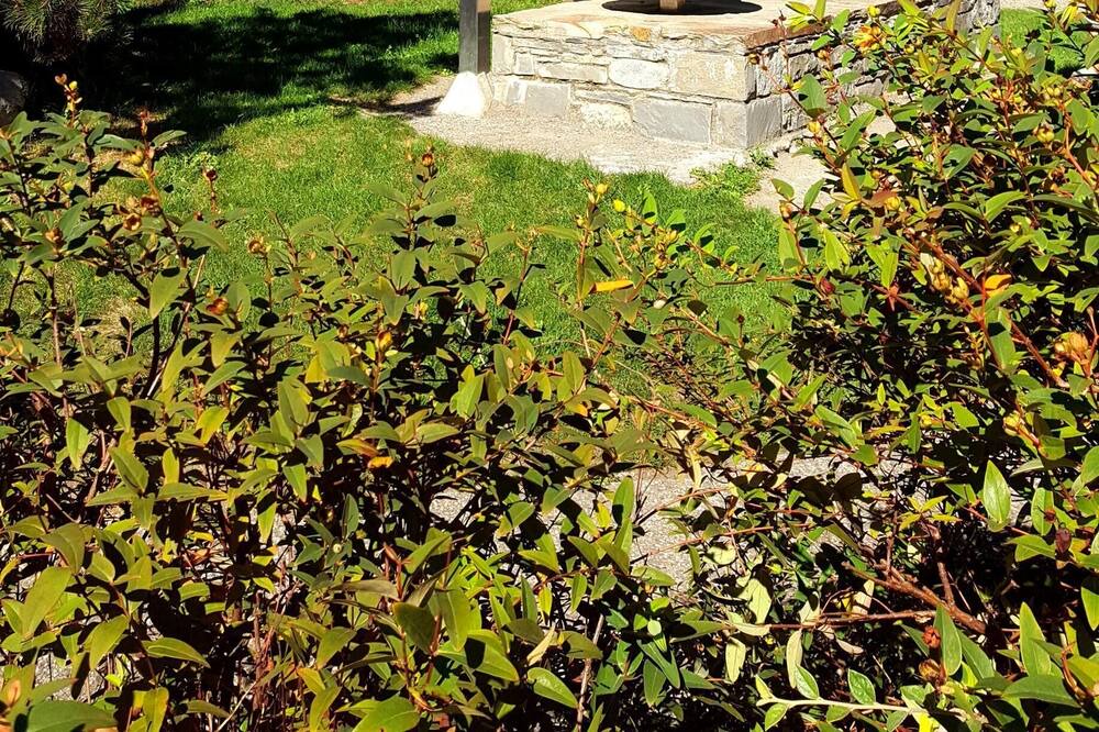 Photo of Outdoor in Saint-Lary-Soulan