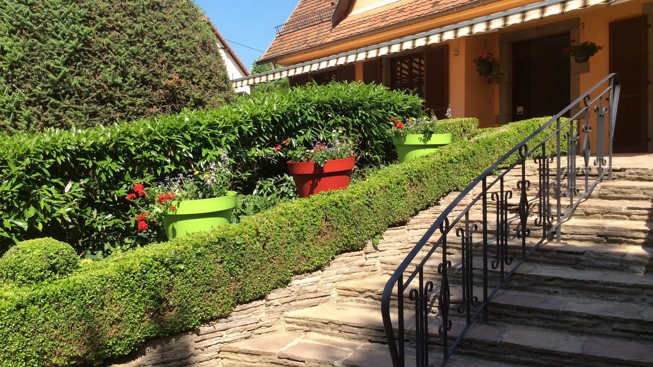 Photo of Outdoor in Ottrott