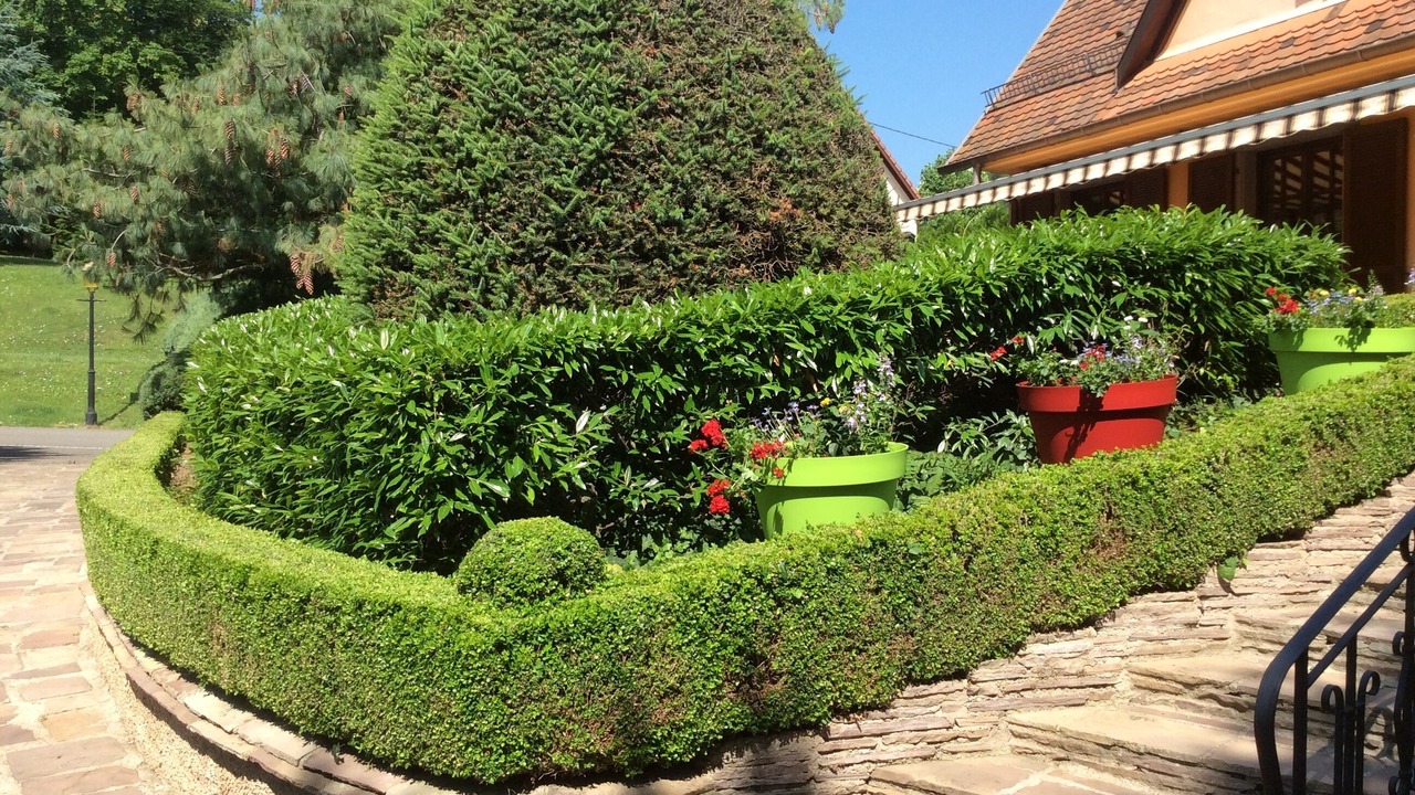 Photo of Outdoor in Ottrott
