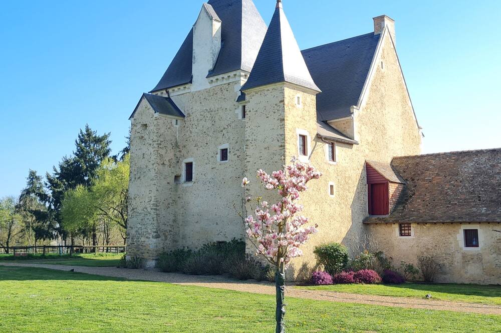 Photo of Outdoor in Roeze-sur-Sarthe