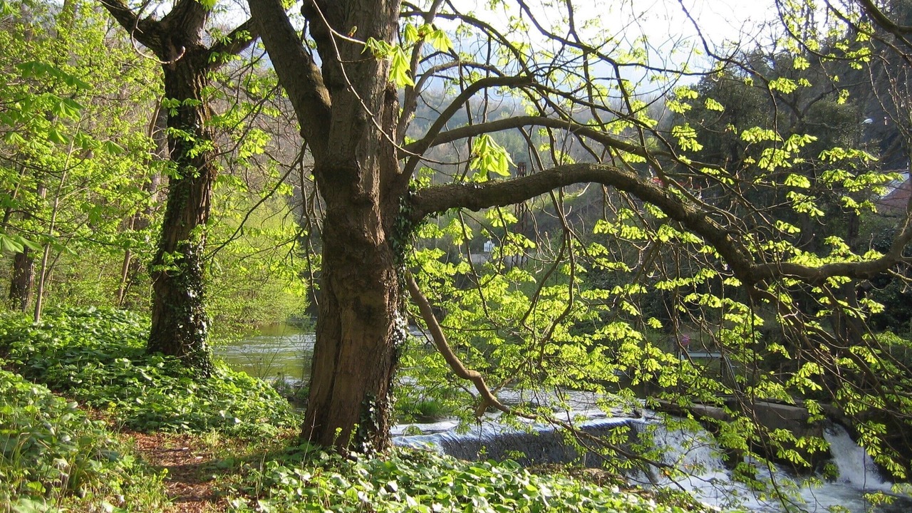 Photo of Outdoor in Quillan