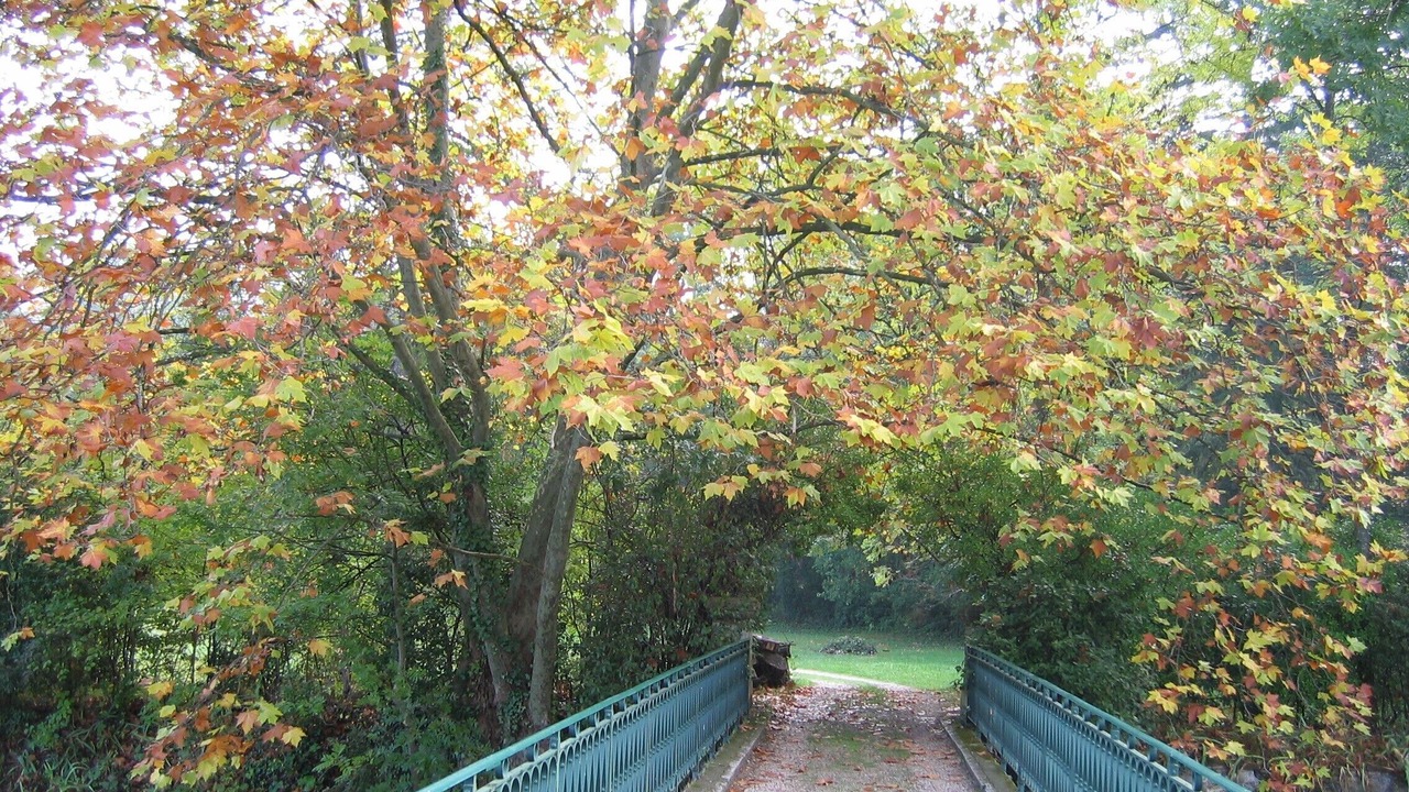 Photo of Outdoor in Quillan