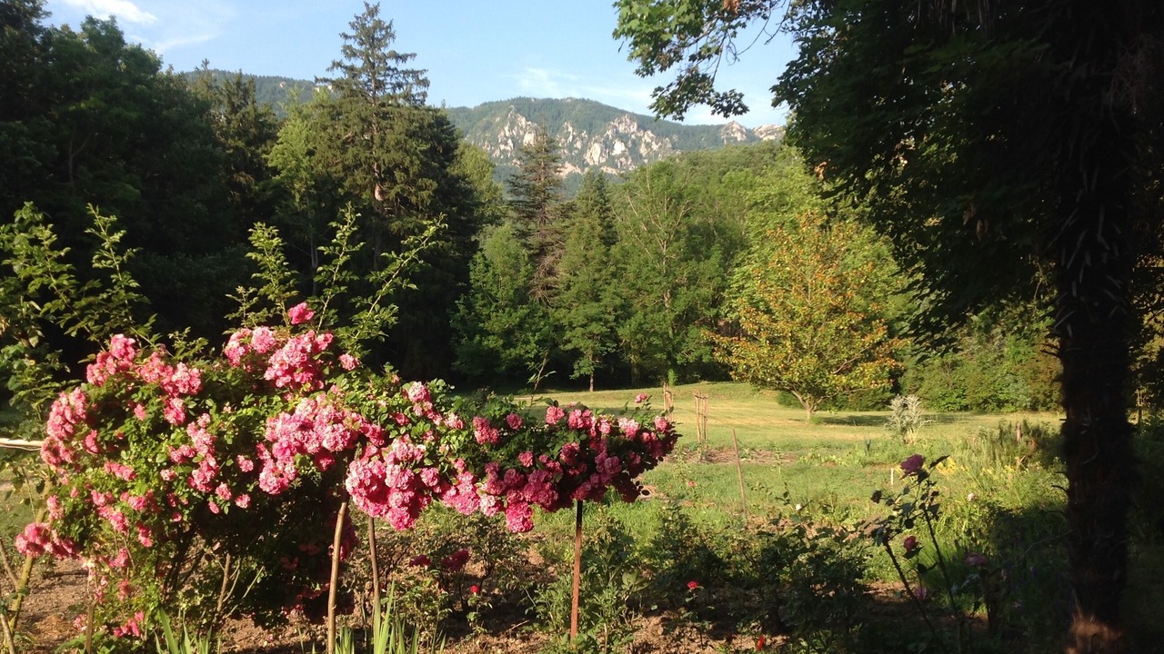 Photo of Outdoor in Quillan